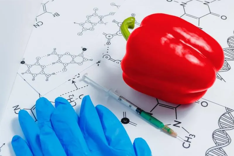 Chemia w żywności – jak świadome wybory kształtują to, co spożywamy?
