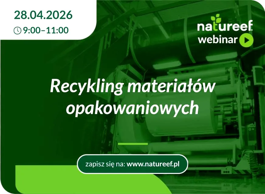 Co warto poddać recyklingowi? Przewodnik po materiałach przyjaznych środowisku