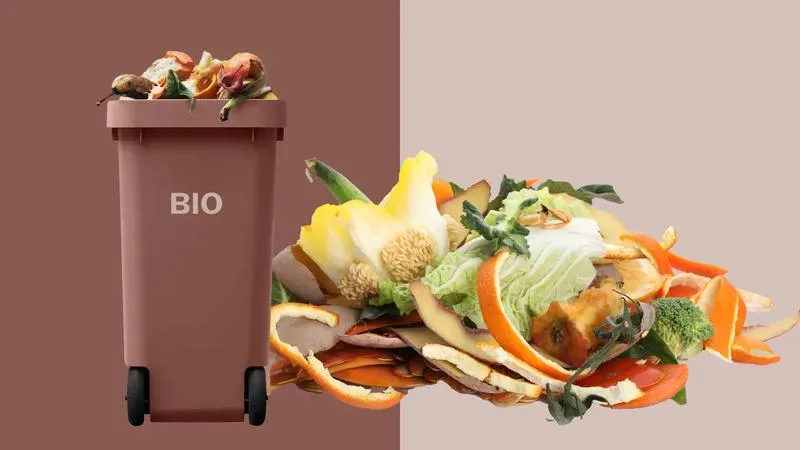 Co warto wiedzieć o odpadach biodegradowalnych i ich rodzajach?