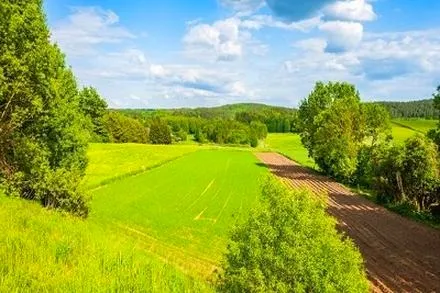Co wpływa na zatrzymywanie wody w glebie? Odkryj kluczowe czynniki!