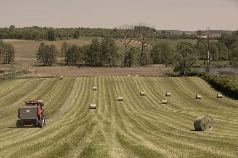 Czy rolnik rozlicza PIT? Wszystko, co powinieneś wiedzieć o podatkach w rolnictwie