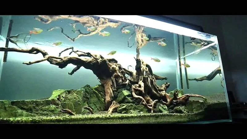 Czy w akwarium bez żywych roślin można stworzyć idealne warunki dla ryb?