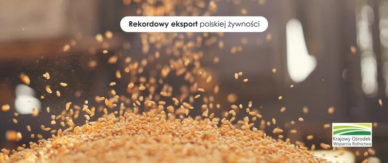 Czym jest eksport żywności i jak wpływa na gospodarkę?