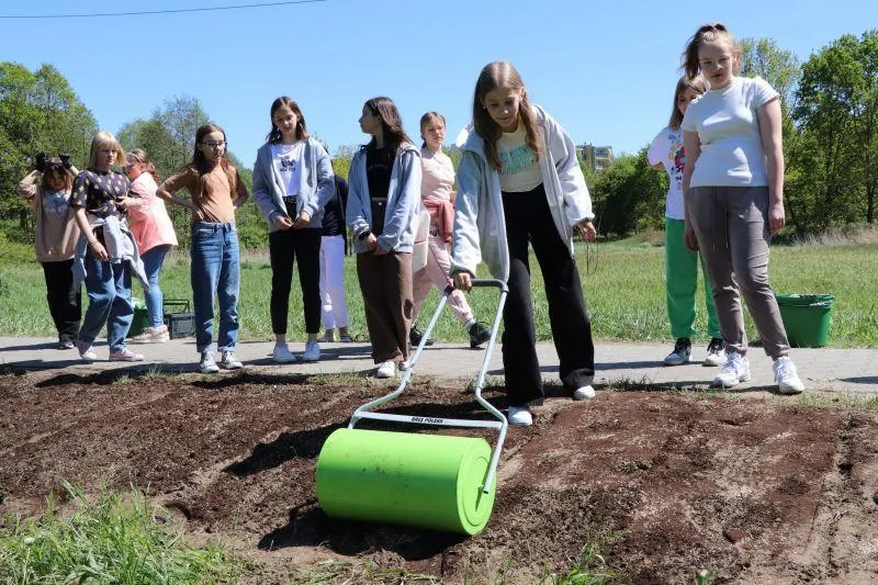 Dlaczego warto zrezygnować z koszenia trawy?