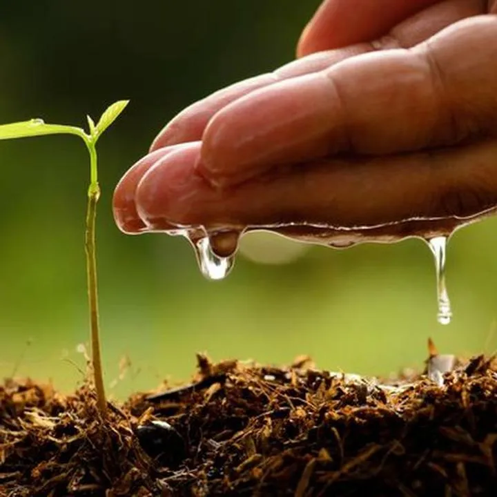 Formy ochrony przyrody w Polsce – co warto wiedzieć?