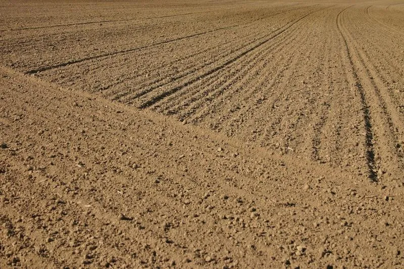 Ile ziemi może kupić osoba niebędąca rolnikiem? Oto, co musisz wiedzieć!