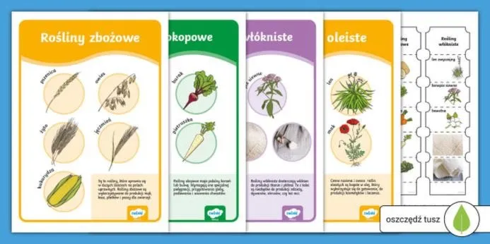 Jak rośliny uprawne zmieniają nasze codzienne życie?