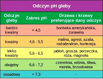 Jak skutecznie podnieść pH gleby kwaśnej i poprawić jej urodzajność