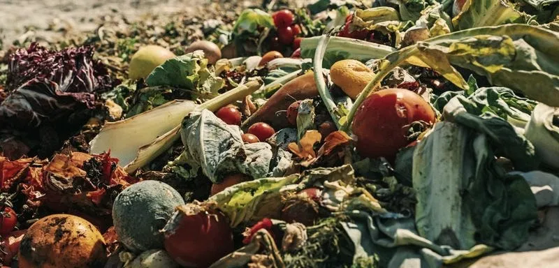 Jak skutecznie zapobiec marnowaniu żywności w codziennym życiu?