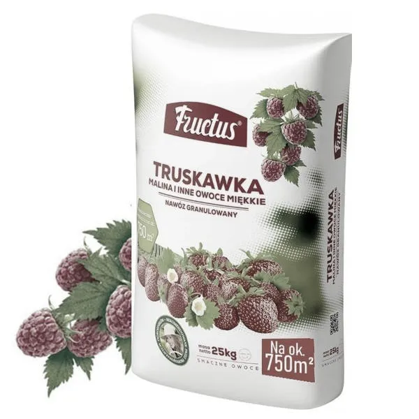 Jaki nawóz na wiosnę wybrać, aby truskawki obrodziły jak nigdy przedtem?