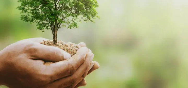 Jakie działania podjąć, aby skutecznie chronić środowisko?