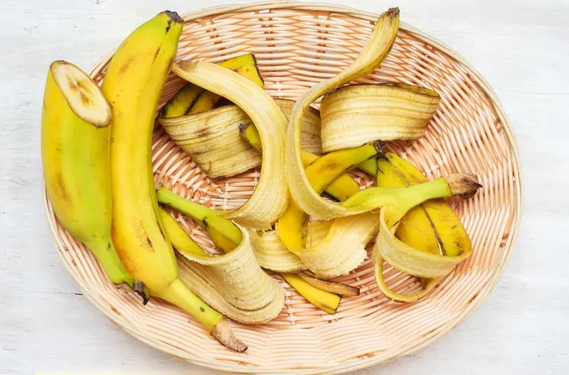 Jakie rośliny skorzystają z nawozu z banana? Poznaj ich sekrety!