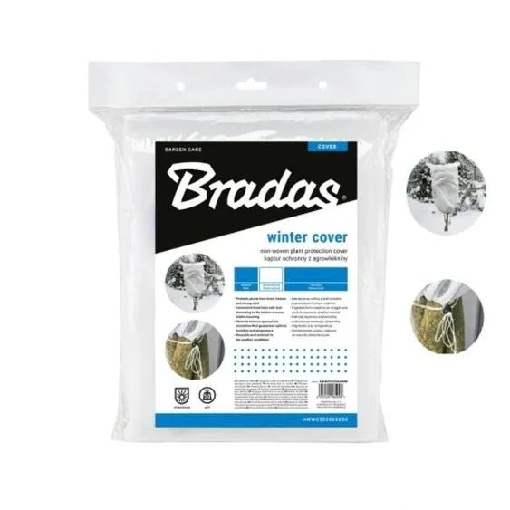 Jakie rośliny w Polsce są objęte ochroną i co warto o nich wiedzieć?