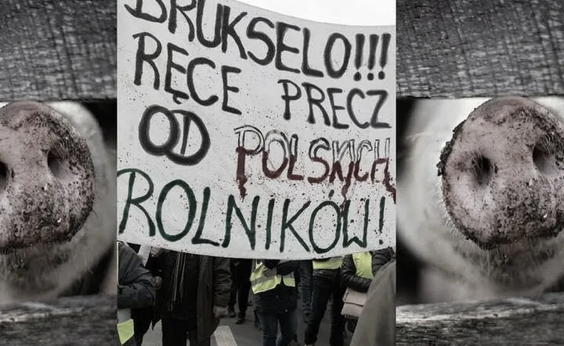 Kiedy dopłaty do nawozów trafią na konta rolników?