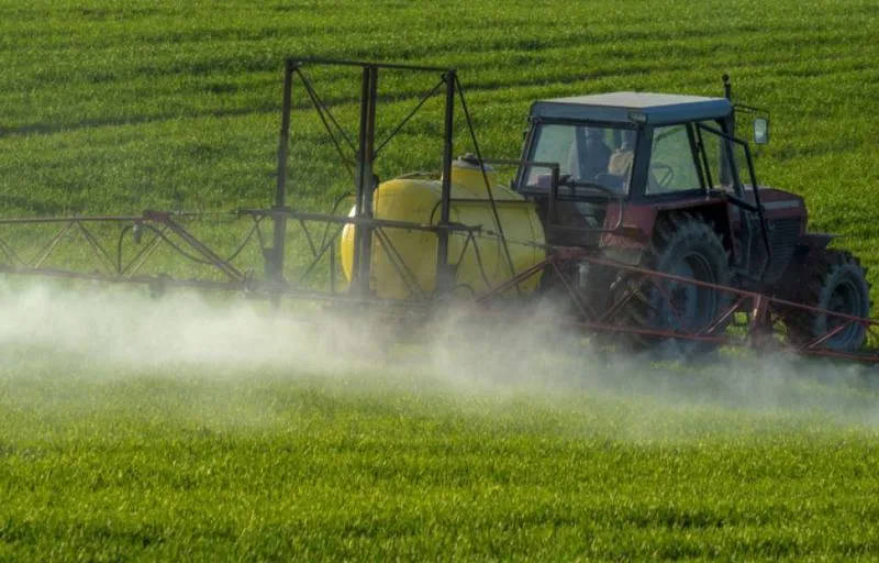 Kiedy można robić opryski, aby skutecznie chronić rośliny?