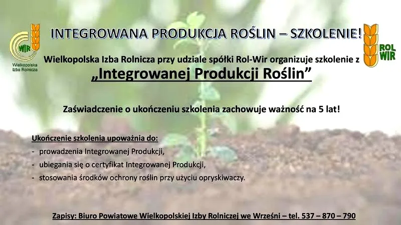 Na czym polega integrowana ochrona roślin i dlaczego jest kluczowa dla zrównoważonego rolnictwa?