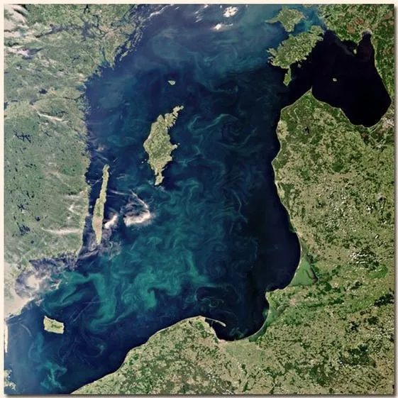 Niezastąpiona rola wody w życiu roślin i zwierząt