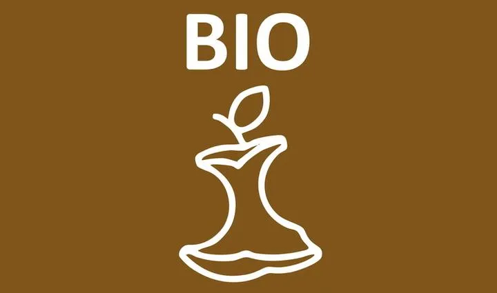 Odpady bio: Worek czy nie - co wybrać dla lepszej ekologii?