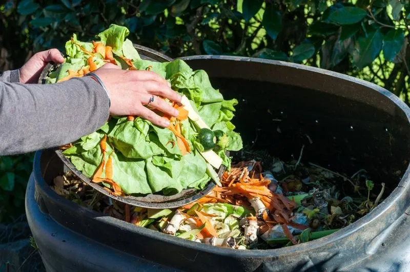 Odpady poprodukcyjne w gastronomii – co warto wiedzieć i jakie są ich przykłady?