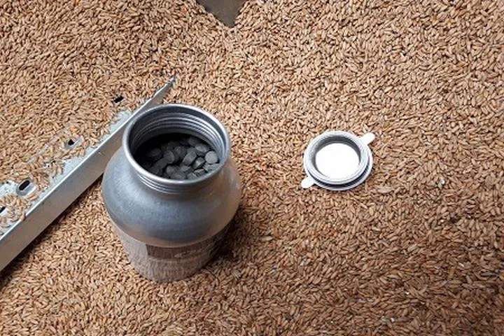 Praktyczny przewodnik po gazowaniu zboża – efektywne metody i wskazówki