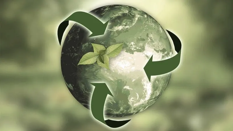 Recykling odpadów: jak działa i dlaczego jest tak ważny?