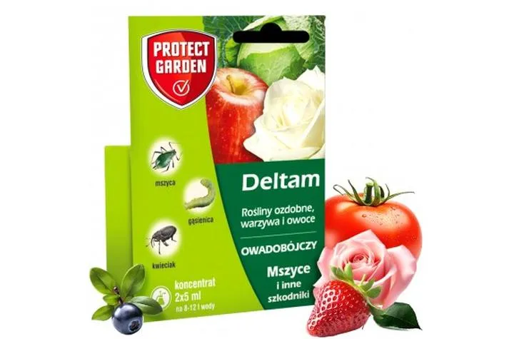 Skuteczne metody na mszyce: jak przygotować domowy oprysk?