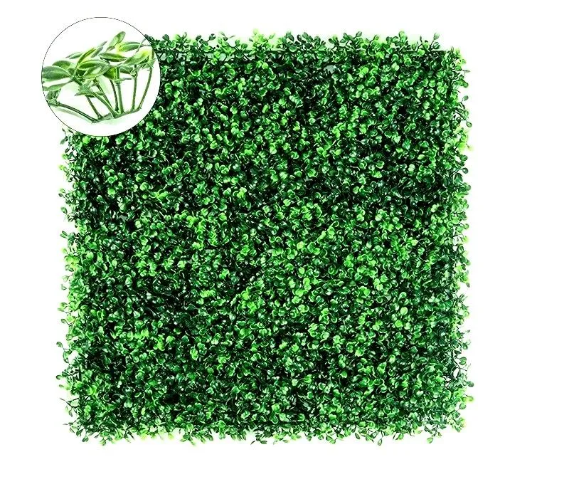 Skuteczne metody na ochronę bukszpanu: jaki oprysk wybrać?