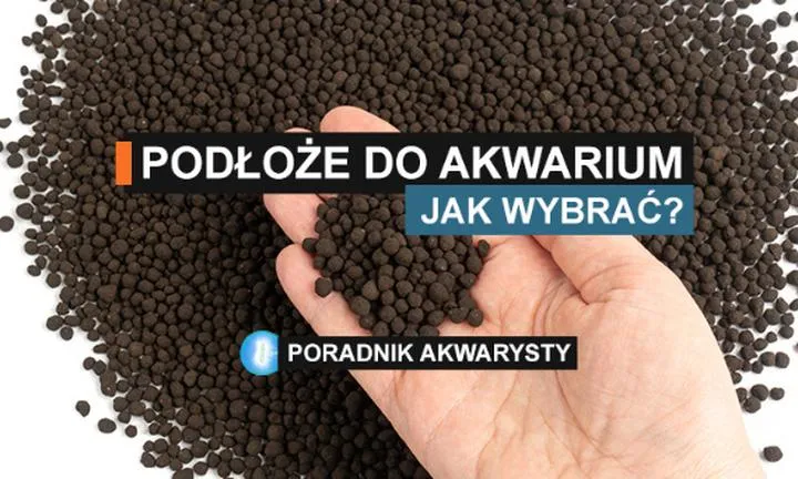 Wybór idealnego podłoża do roślin akwariowych – co warto wiedzieć?