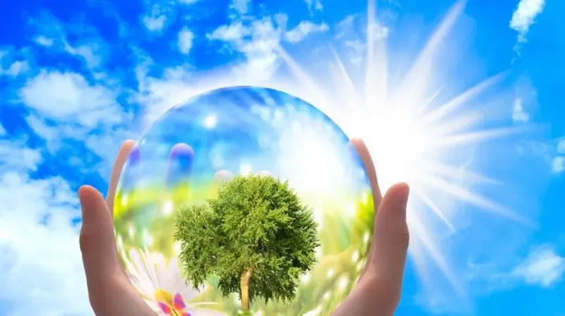 Antropocen i superorganizm