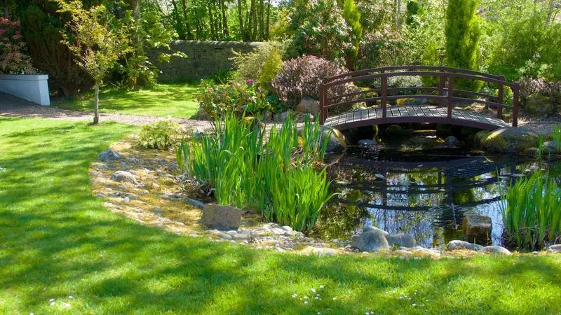 Aranżacja oczka wodnego