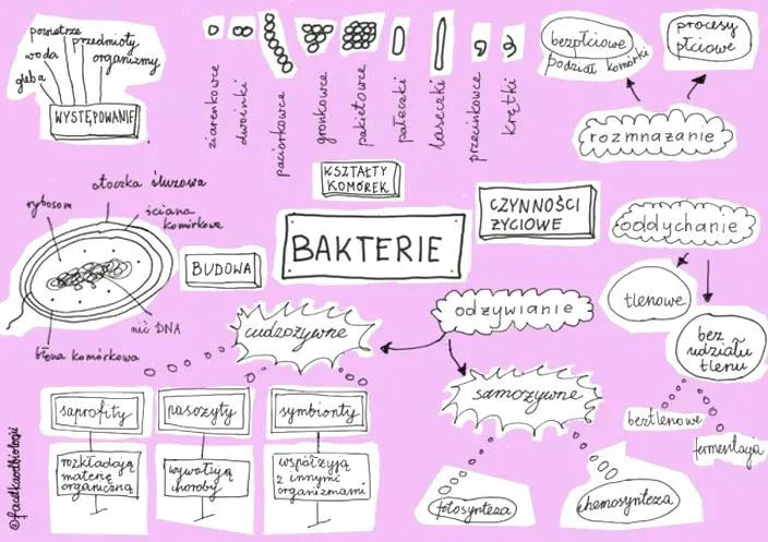Bakterie w przyrodzie