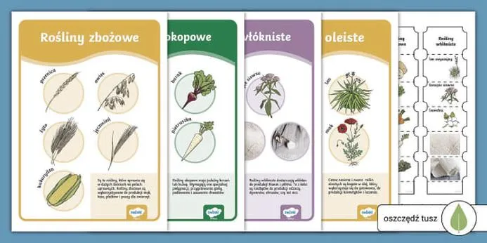 Bezpieczeństwo żywnościowe