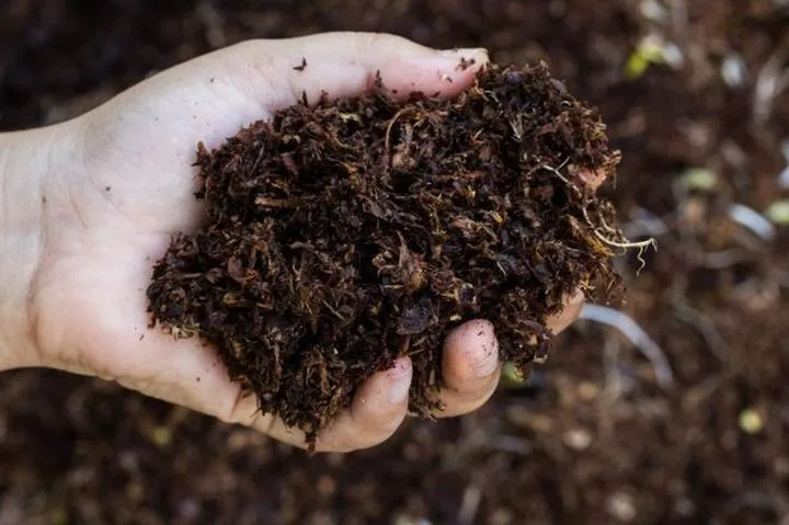 Bioróżnorodność ekosystemu roślinnego