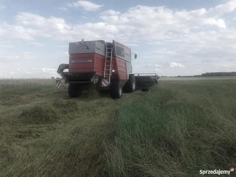 Czynniki wpływające na ceny koszenia