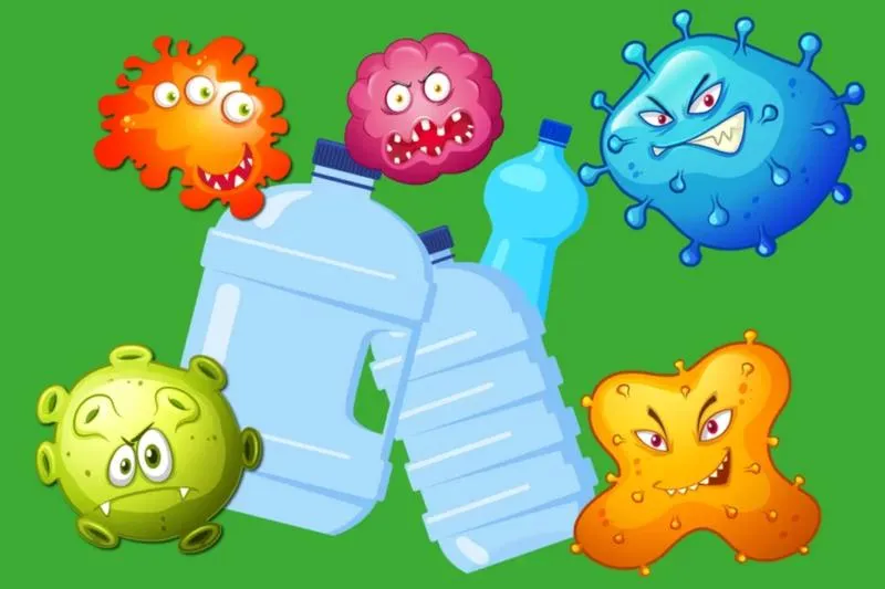 Degradacja ekosystemów