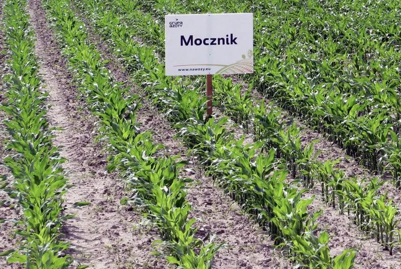 Dopłaty do nawozów
