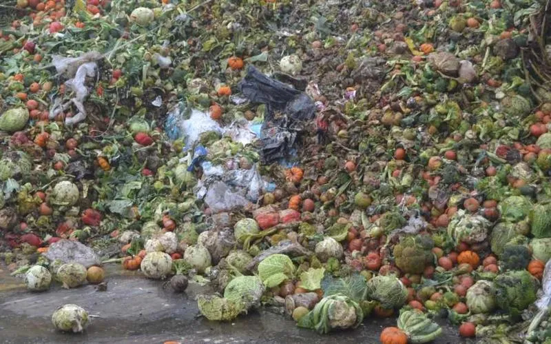 Edukacja konsumentów o marnotrawieniu żywności