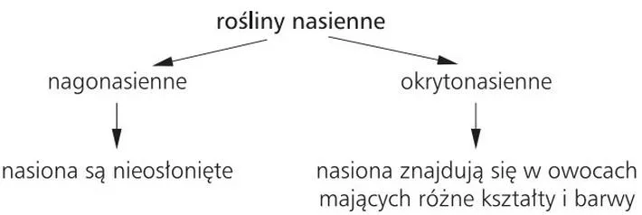 Ekosystemy leśne