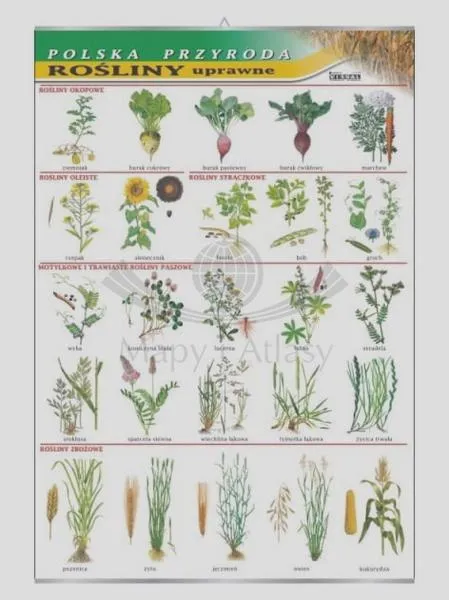 Innowacje biotechnologiczne