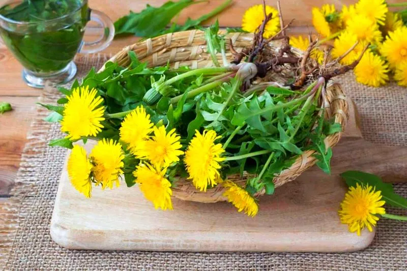 Kiedy kosić trawnik