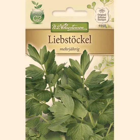Lubczyk w ogrodzie