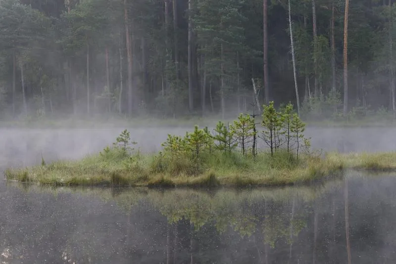 Mazury rezerwat