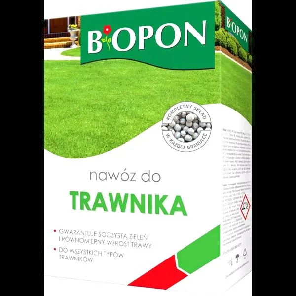 Młody trawnik
