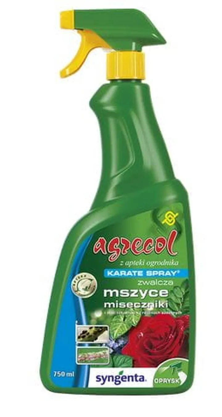 Naturalne metody walki z mszycami