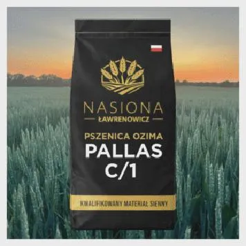 Nawożenie pszenicy jarej