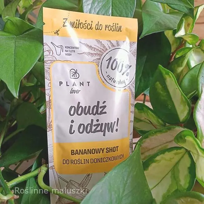 Nawozy do roślin