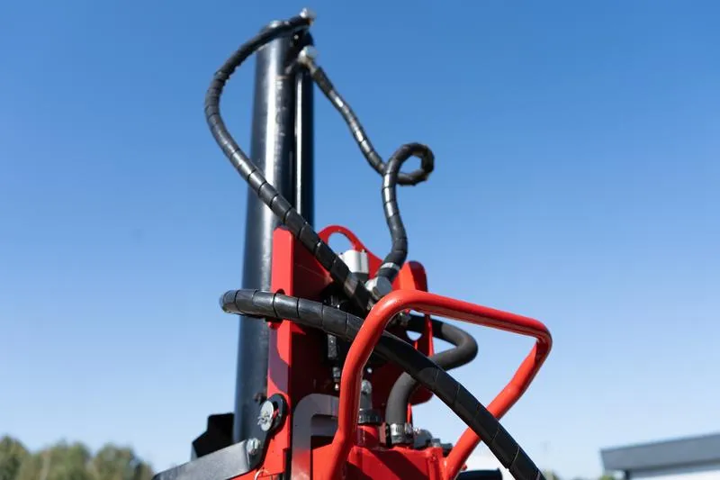 Niedobór żelaza u roślin