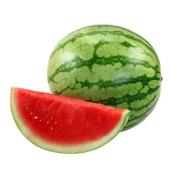 Niezwykła biologia arbuza