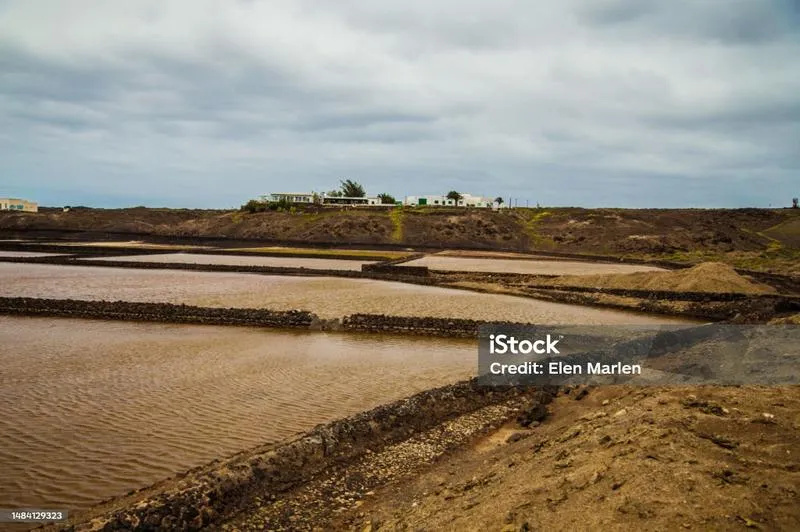 Obniżenie zasolenia gleby w ogrodzie