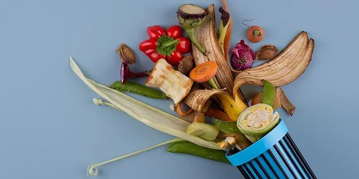 Odpady biodegradowalne